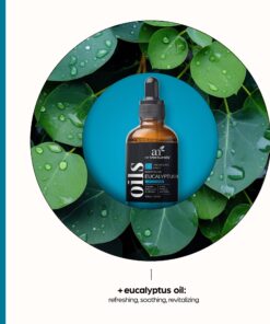 ArtNaturals 100% Pure Eucalyptus Essential Oil - (4.0 Fl Oz / 118ml) - Therapeutic Grade Natural Oils 23 71SkHBSAETL