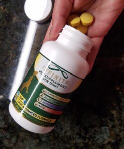 Advanced Hip & Joint Formula - 90 Mobility & Pain Relief Dog Chews - Glucosamine, Chondroitin, MSM, & Turmeric for Superior Joint Health Chewable 30 71SkYsho1XL