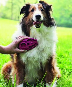KONG - ZoomGroom - Dog Brush for Grooming and Shampooing - Red Brush for Large Dogs Standard Packaging 21 71SlZxrVK1L