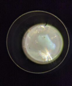 OMAX 40X-2000X LED Binocular Compound Lab Microscope w/ Double Layer Mechanical Stage + Blank Slides, Cover Slips, & Lens Cleaning Paper, M82ES-SC100-LP100 72 71SmVDPMeAL 1