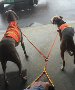 52'' No-Tangle Dual Dog Leash with Swivel, Comfortably Walks Two Dogs Weighing Up To 500 Pounds At Once 7 71SokwCUKkL