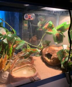 Fluker's Repta Vines for Reptiles and Amphibians Terrariums - Red Coleus 23 71SqIrtHATL