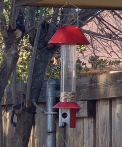 Roamwild PestOff Red Squirrel Proof Cardinal Bird Feeder Mixed Seed Sunflower Heart Version - RED - 3LBS Seed Capacity – 20.5”x7.5”x7.5” (w/Hanger) 24 71SqgPDMHNL