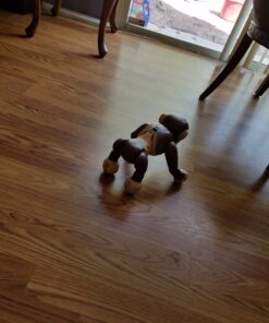 Zoomer - Chimp Standard Packaging 47 71SsC3k5X8L