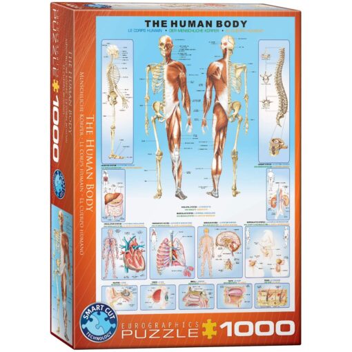 EuroGraphics Human Body Puzzle (1000-Piece)