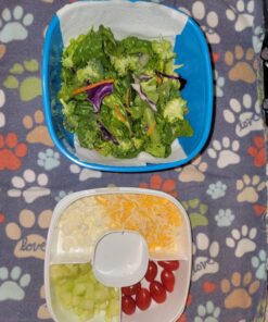 Bentgo® All-in-One Salad Container - Large Salad Bowl, Bento Box Tray, Leak-Proof Sauce Container, Airtight Lid, & Fork for Healthy Adult Lunches; BPA-Free & Dishwasher/Microwave Safe (Blue) Blue 38 71SumPc1pzL