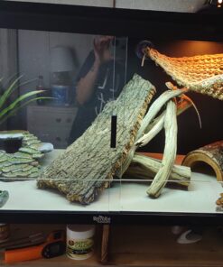 BN-LINK 8 Outlet Surge Protector with Mechanical Timer (4 Outlets Timed, 4 Outlets Always On) - White 35 71Svgadh6VL