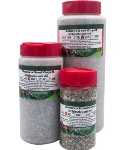 Amblyseius Swirskii (25,000 in Hanging Sachets) 11 71SvnXMOAYL