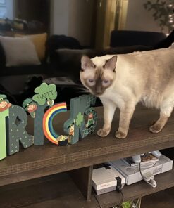 Happy St. Patrick's Wooden Screen Sign - hinged, Wood and Hand Painted - Shamrocks, Leprechauns, and Rainbows - St. Patrick's Day Tabletop Home Decor 24 71SvpiVMAoL