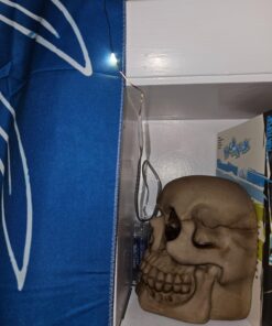 Amazon Basics 9ft 25 LED Fairy Lights, Battery Powered Outdoor String Lights for Bedroom, 2-pack (50 LEDs total), Warm White 25 LEDs, Fairy String - 2 pack 52 71SwOqQFH3L