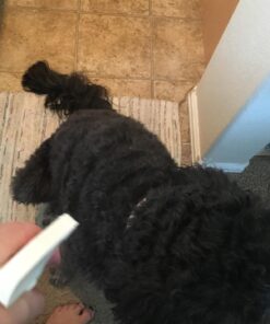 DogFresh Moisturizing Oatmeal & Baking Soda Spray, Dog Itching Skin Relief, Natural Cleansing & Deodorizing Spray, Dog Leave in Conditioner for Dry Itchy Skin, Suitable for Puppies (17oz) 28 71Sx3qG J4L