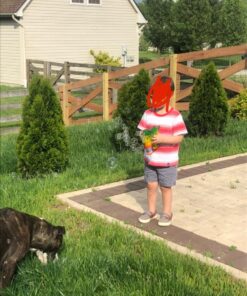 Dinosaur Bubble Gun Light Up Bubbles Shooter, Battery Operated Bubble Maker Toy for Toddlers & Kids, Sound-Free (Extra Refill Bottle and Batteries Included) Green Dinosaur 32 71SznqH9d8L