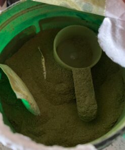 Organic Muscle Superfood Greens Powder Drink Mix - Organic Super Green Detox Supplement for Gut & Digestive Health with Spirulina, Chlorella, Probiotic & Prebiotic - Vegan & Non-GMO, 30 Servings Citrus Sunrise Greens X-Large (Pack of 1) 35 71T0wW4nx6L