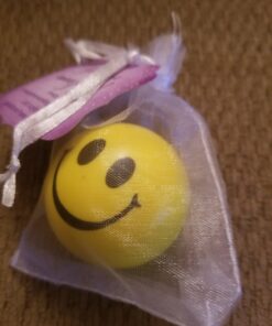 Neliblu 24 Pack Smile Stress Balls for Kids and Adults - 2" Stress Balls in Bulk - Neon Yellow Funny Face Squishy Balls to Support Anxiety - Fidget Toys, Party Favors, Goodie Bag Stuffers for Kids 38 71T0yZYar7L