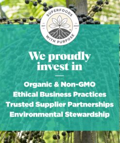 Navitas Organics Acai Powder, 8 oz Bag, 76 Servings — Organic, Non-GMO, Freeze-Dried, Gluten-Free 8 Ounce (Pack of 1) 15 71T2HWgwTtL