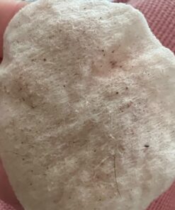 Pet MD Topical Wipes for Cleansing - with Aloe for Cats and Dogs - 50 Count 35 71T2zsgIDjL