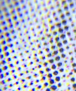 Beileshi 60x Zoom Microscope Magnifier LED + Uv Light Clip-on Micro Lens for Universal Mobile Phones Universal Clamp for iPhone 7s Plus/7s/7/7plus/ 6 6s 6Plus/ 5 Samsun/HTC 35 71T4Gs1nsL