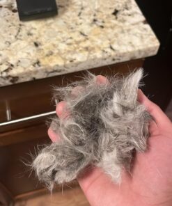 Pet Grooming Brush and Metal Comb Combo, Cat Brush Dog Brush for Shedding, Undercoat Rake for Dogs Grooming Supplies, Dematting Deshedding Brush Dogs Shedding Tool for Long matted Haired Pets, Blue 29 71T6I1mxWL