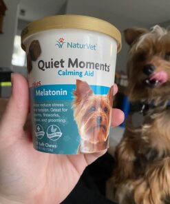 NaturVet Quiet Moments Calming Aid Dog Supplement – Helps Promote Relaxation, Reduce Stress, Storm Anxiety, Motion Sickness for Dogs – Tasty Pet Soft Chews with Melatonin – 70 Ct. Dog - Quiet Moments Melatonin 70 Soft Chews 32 71T6tOEc ML