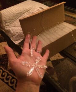 Kurt Adler C2683 2" Glass Iridescent Snowflake Ornaments, 12-Piece Set 51 71T7TbvctpL