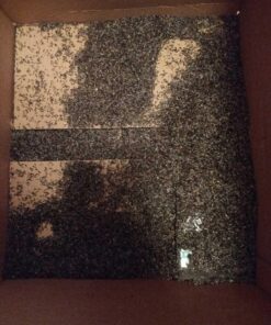 LEBANON SEABOARD SEED CORP 26-47273 Nyjer Seed, 3 lb. 13 71T8F4ykn2L