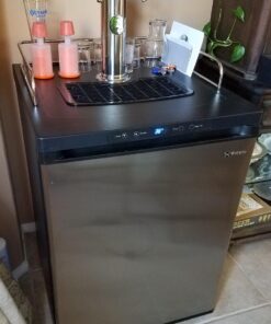Kegco K309SS-124" Wide Homebrew Single Tap Stainless Steel Digital Kegerator 28 71T8Ly2 GL