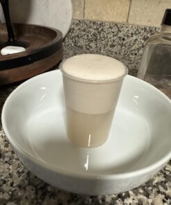 Saf Instant Yeast, 1 Pound Pouch 1 Pound (Pack of 1) 63 71TAYg6 R4L