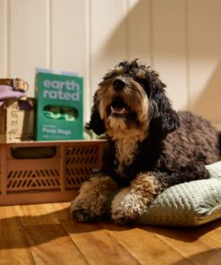 Earth Rated Dog Poop Bags with Handles, New Look, Easy Tie and Guaranteed Leakproof, Lavender Scented, 120 Handle Bags 120 Count (Pack of 1) Lavender-Scented 35 71TBx1XsC2L