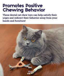 Petstages Dental Health Chews Pair Dental Chew 24 71TCNAuetL