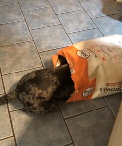 NUTRO NATURAL CHOICE Healthy Weight Adult Dry Dog Food, Lamb & Brown Rice Recipe Dog Kibble, 30 lb. Bag 62 71TCRQ8 83L 1
