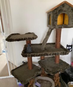 Pacific Trading Cat Buddha Meditating Statue Eastern Enlightenment Masterpiece 19 71TCyu cZmL