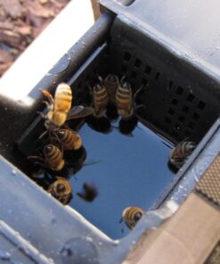 Little Giant Frame Feeder Beehive Frame Syrup Bee Feeder for Beekeeping (3 Quart) (Item No. FRAMEFDR) , Black 13 71TDAfNptOL