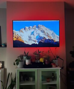 Govee TV LED Backlight, RGBIC TV Backlight for 55-65 inch TVs, Smart LED Lights for TV with Bluetooth and Wi-Fi Control, Works with Alexa & Google Assistant, Music Sync, 99+ Scene Modes, Adapter 31 71TFjx6IMzL