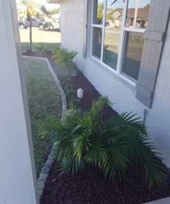 SVA Organics Clove Bud Essential Oil 4 Oz Organic USDA 100% Pure Natural Undiluted Premium Therapeutic Grade Oil for Skin, Teeth, Diffuser, Aromatherapy 4.00 Fl Oz (Pack of 1) 19 71TGGKT3i4L