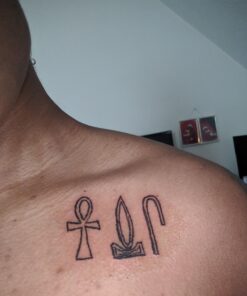 Dragonhawk Traditional Pro Complete Tattoo Kit - Two Machines Gun Easy Use Color Ink Power Supplies Disposable Needles Grips Great for Beginners & Starter Tattoo Aritsts 11-85 52 71TJjuAjgZL