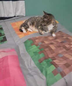 OETNAISAN Minecraft Twin Quilt & Sham Set - Featuring Creeper, Steve, & Alex (Official Minecraft Product) 15 71TK4bcX1vL