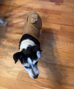 HotHands Hand Warmers, 10 count (5 pack with 2 warmers per pack) 14 71TLjyAGxWL