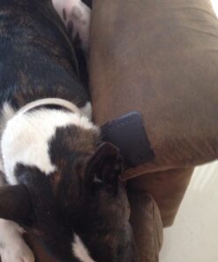 MastaPlasta Premium Leather Repair Patch - Dark Brown 4" x 2.4" (10 x 6 cm). Instant Upholstery-Quality Scratch and Tear Repair for Sofas, Car Interiors, Bags, Vinyl & More 4in x 2.4in B Dark Brown Leather 30 71TPG04z2jL