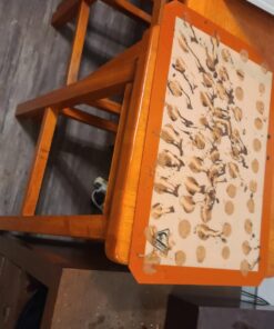 Silicone Baking Mat - Set of 3 Half Sheet (Thick & Large 11 5/8" x 16 1/2") - Non Stick Silicon Liner for Bake Pans & Rolling - Macaron/Pastry/Cookie/Bun/Bread Making - Professional Grade Nonstick 29 71TPtyGHNKL 1