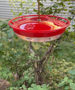Aspects 367 Hummzinger Ultra Hummingbird Feeder, 12-Ounce,4 Feeding,Red 21 71TRUPB0mmL