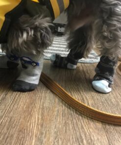 PawZ Rubber Dog Boots for Paws up to 2 1/2", 12 Pack - All-Weather Dog Booties for Hot Pavement, Snow, Mud, and Rain - Waterproof, Anti Slip Dog Socks - Small, Black 39 71TS9re7GnL