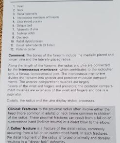 Netter's Anatomy Flash Cards (Netter Basic Science) 33 71TTIaLX1DL