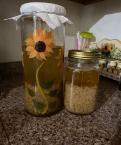 QUARTER POUND Original Water Kefir Grains Exclusively from Florida Sun Kefir with 12 Brewing Bags Mild Sweetness to Tart 0.25 Ounce (Pack of 4) 31 71TW0yV6CwL