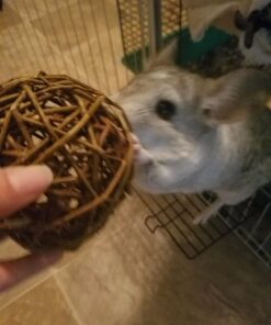 Ware Manufacturing Willow Branch Ball for Small Animals - 4-inch 1-Pack 26 71TWo8w8CCL