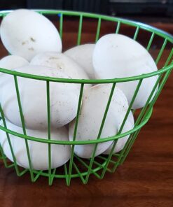 Ware Manufacturing Chicken Egg Basket 1 A 17 71Ta3q1jknL