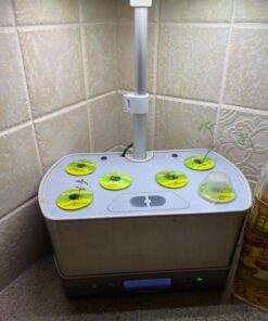 AeroGarden Gourmet Herb Seed Pod Kit - Herb Seeds for AeroGarden Indoor Garden, 6-Pod 27 71TaQp2woL