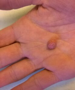 mberry Miracle Berry Tablets, Miracle Fruit Snacks, 10 Count.12 Ounce, Pack of 1 27 71Tb8ZaHD5L