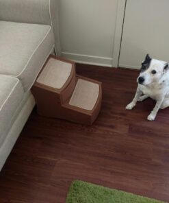 Pet Gear Easy Step II Pet Stairs, 2 Step For Cats/Dogs Up To 75-Pounds, Portable, Removable Washable Carpet Tread, No Tools Required, Available In 4 Colors,Light Cocoa Light Cocoa 27 71Tb8j6eDuL