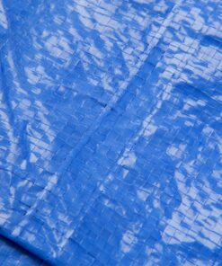 Grizzly Tarps by B-Air 8' x 10' Large Multi-Purpose Waterproof Heavy Duty Poly Tarp with Grommets Every 36", 8x8 Weave, 5 Mil Thick, for Home, Boats, Cars, Camping, Protective Cover, Blue 8' x 10' 41 71TbHS3ujtL