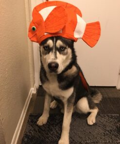 Alternative view of U.S. Toy (H394) Bright Orange Clown Fish Hat